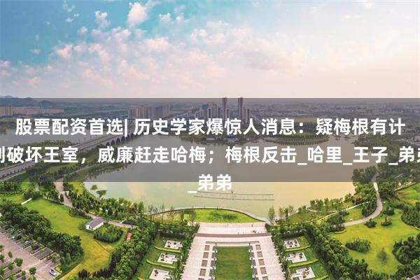 股票配资首选| 历史学家爆惊人消息：疑梅根有计划破坏王室，威廉赶走哈梅；梅根反击_哈里_王子_弟弟