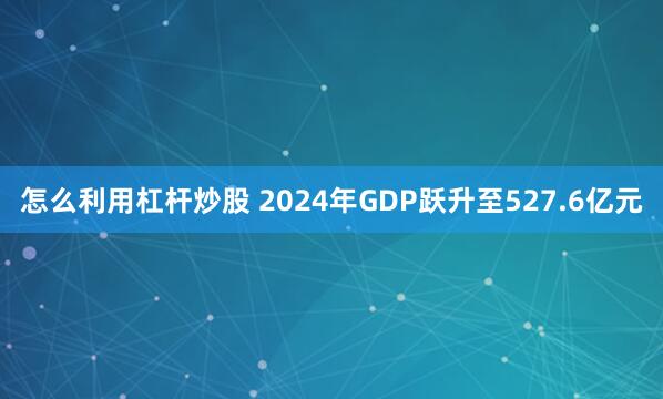 怎么利用杠杆炒股 2024年GDP跃升至527.6亿元