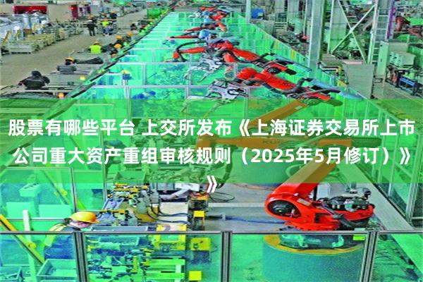 股票有哪些平台 上交所发布《上海证券交易所上市公司重大资产重组审核规则（2025年5月修订）》