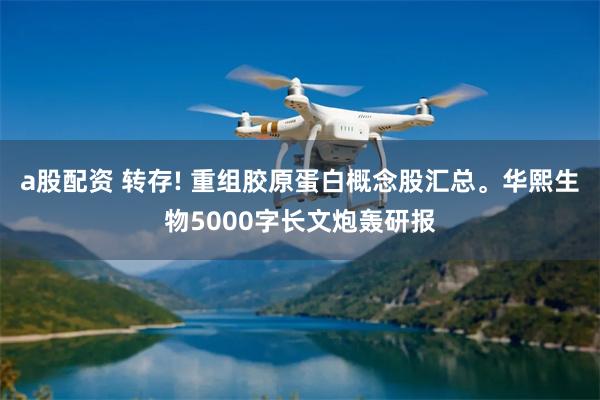 a股配资 转存! 重组胶原蛋白概念股汇总。华熙生物5000字长文炮轰研报