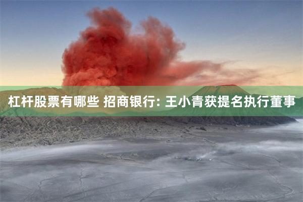 杠杆股票有哪些 招商银行: 王小青获提名执行董事