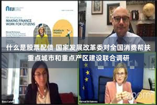 什么是股票配债 国家发展改革委对全国消费帮扶重点城市和重点产区建设联合调研