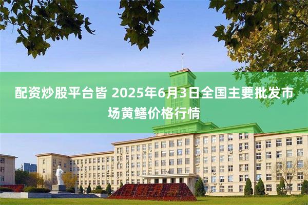 配资炒股平台皆 2025年6月3日全国主要批发市场黄鳝价格行情