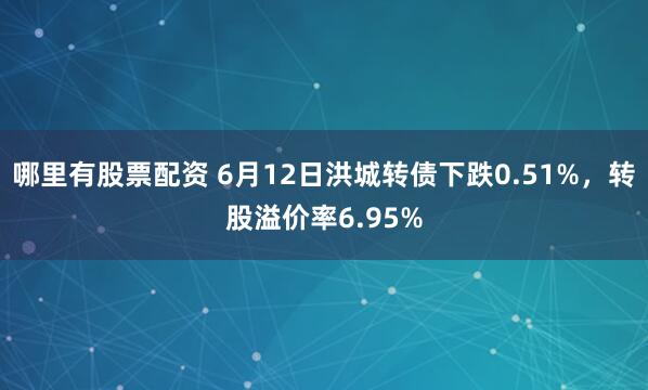 哪里有股票配资 6月12日洪城转债下跌0.51%，转股溢价率6.95%