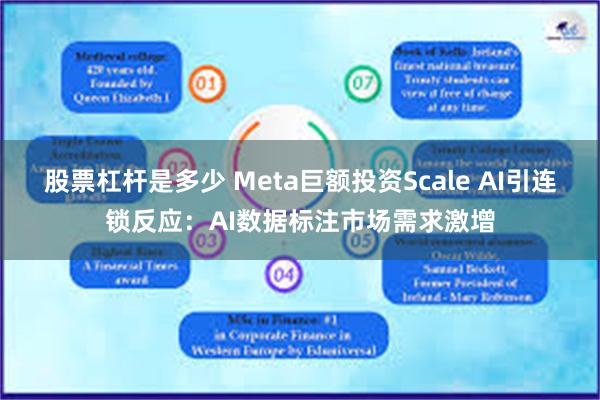 股票杠杆是多少 Meta巨额投资Scale AI引连锁反应：AI数据标注市场需求激增