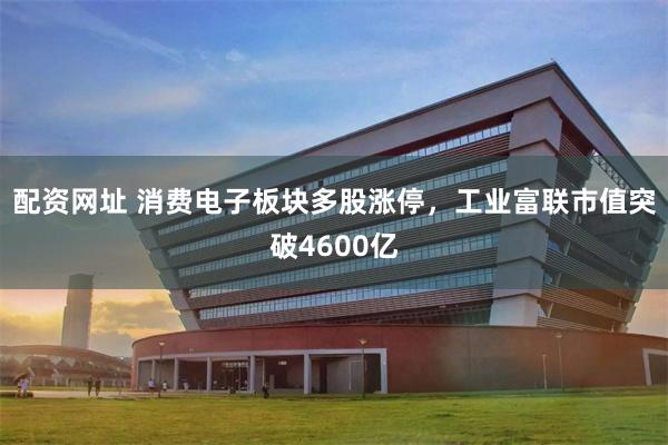 配资网址 消费电子板块多股涨停，工业富联市值突破4600亿