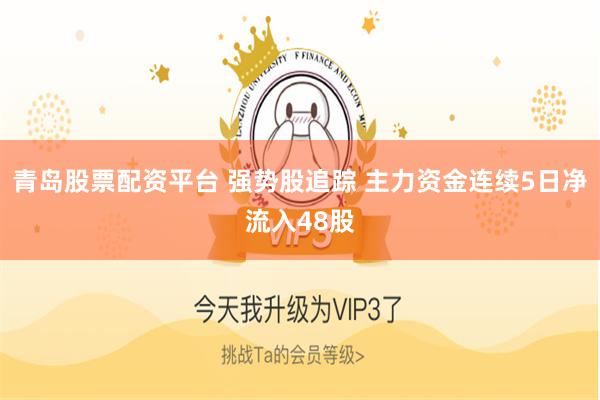 青岛股票配资平台 强势股追踪 主力资金连续5日净流入48股