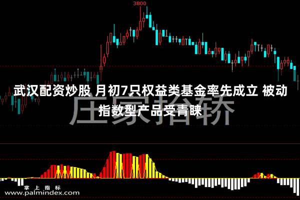 武汉配资炒股 月初7只权益类基金率先成立 被动指数型产品受青睐