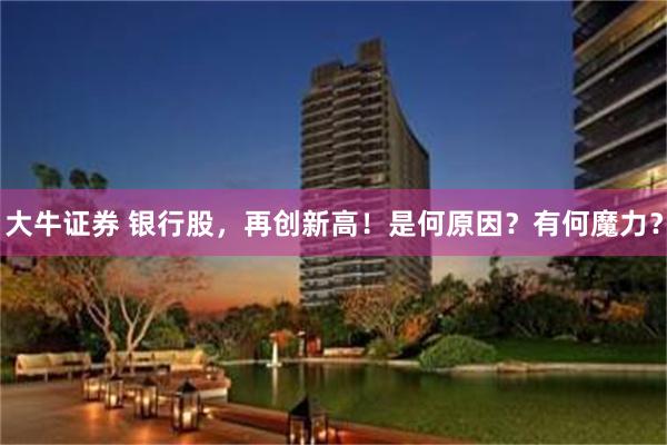 大牛证券 银行股，再创新高！是何原因？有何魔力？