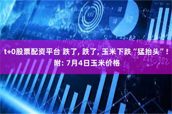 t+0股票配资平台 跌了, 跌了, 玉米下跌“猛抬头”! 附: 7月4日玉米价格