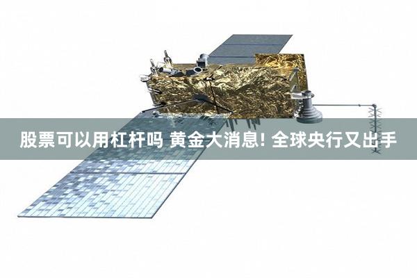 股票可以用杠杆吗 黄金大消息! 全球央行又出手