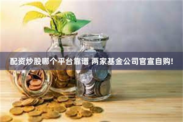 配资炒股哪个平台靠谱 两家基金公司官宣自购!