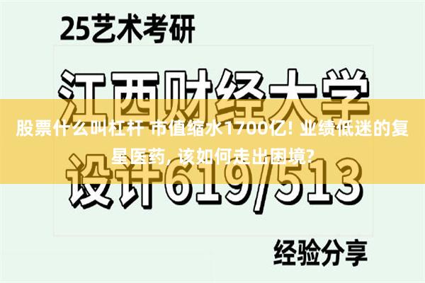 股票什么叫杠杆 市值缩水1700亿! 业绩低迷的复星医药, 该如何走出困境?