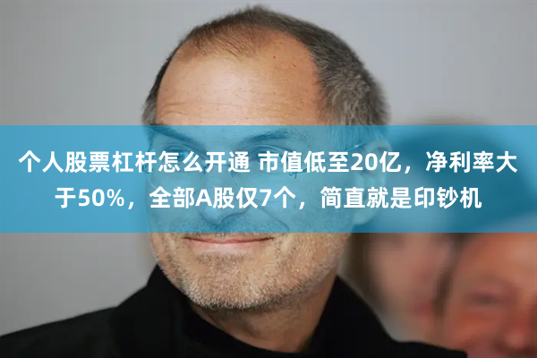个人股票杠杆怎么开通 市值低至20亿，净利率大于50%，全部A股仅7个，简直就是印钞机