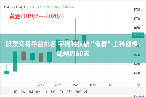 股票交易平台排名 宇树科技被“催着”上科创板，或剩约60天