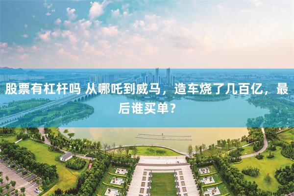 股票有杠杆吗 从哪吒到威马，造车烧了几百亿，最后谁买单？