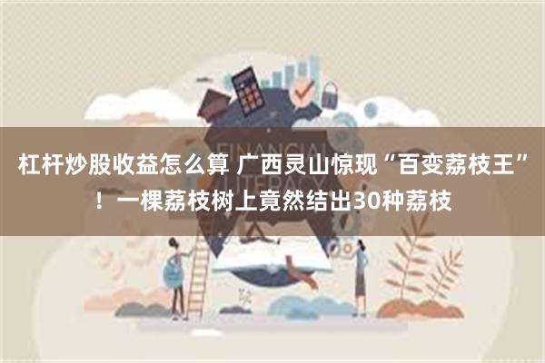 杠杆炒股收益怎么算 广西灵山惊现“百变荔枝王”！一棵荔枝树上竟然结出30种荔枝