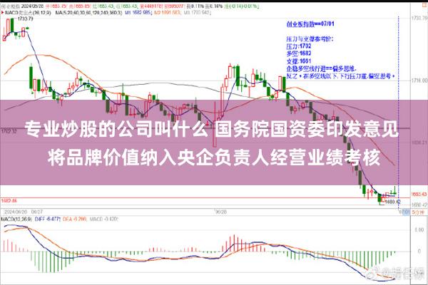 专业炒股的公司叫什么 国务院国资委印发意见 将品牌价值纳入央企负责人经营业绩考核