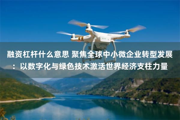 融资杠杆什么意思 聚焦全球中小微企业转型发展：以数字化与绿色技术激活世界经济支柱力量