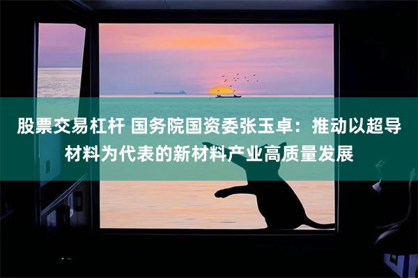 股票交易杠杆 国务院国资委张玉卓：推动以超导材料为代表的新材料产业高质量发展