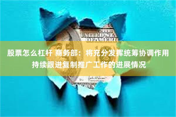 股票怎么杠杆 商务部：将充分发挥统筹协调作用 持续跟进复制推广工作的进展情况