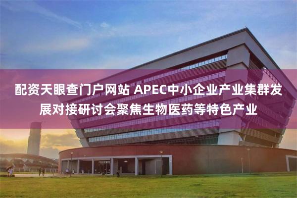 配资天眼查门户网站 APEC中小企业产业集群发展对接研讨会聚焦生物医药等特色产业