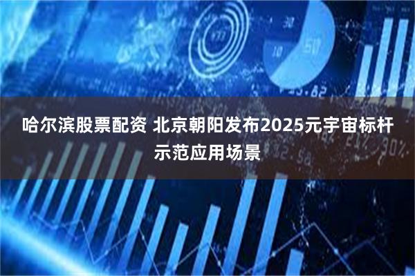 哈尔滨股票配资 北京朝阳发布2025元宇宙标杆示范应用场景