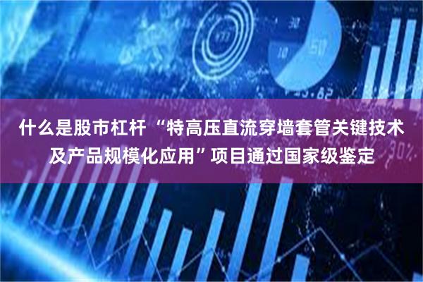 什么是股市杠杆 “特高压直流穿墙套管关键技术及产品规模化应用”项目通过国家级鉴定