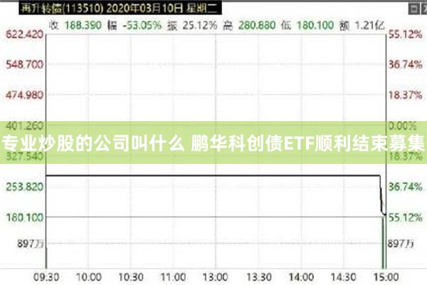 专业炒股的公司叫什么 鹏华科创债ETF顺利结束募集