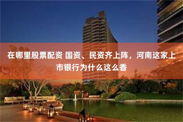 在哪里股票配资 国资、民资齐上阵，河南这家上市银行为什么这么香