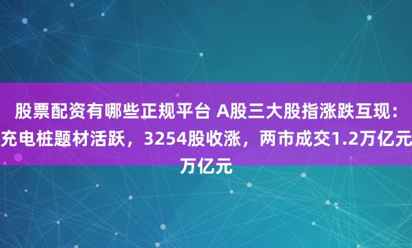 股票配资有哪些正规平台 A股三大股指涨跌互现：充电桩题材活跃，3254股收涨，两市成交1.2万亿元