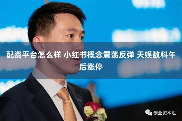 配资平台怎么样 小红书概念震荡反弹 天娱数科午后涨停