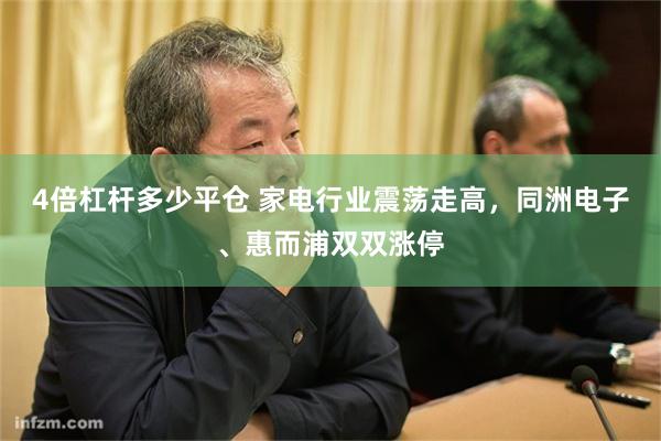 4倍杠杆多少平仓 家电行业震荡走高，同洲电子、惠而浦双双涨停