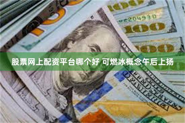 股票网上配资平台哪个好 可燃冰概念午后上扬