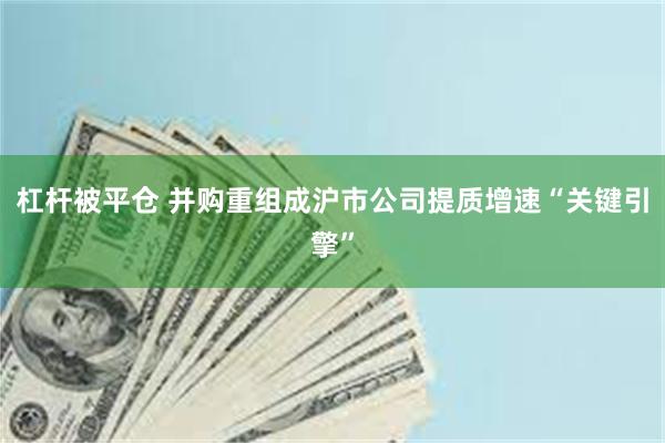 杠杆被平仓 并购重组成沪市公司提质增速“关键引擎”