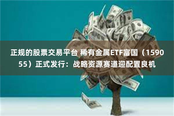 正规的股票交易平台 稀有金属ETF富国（159055）正式发行：战略资源赛道迎配置良机