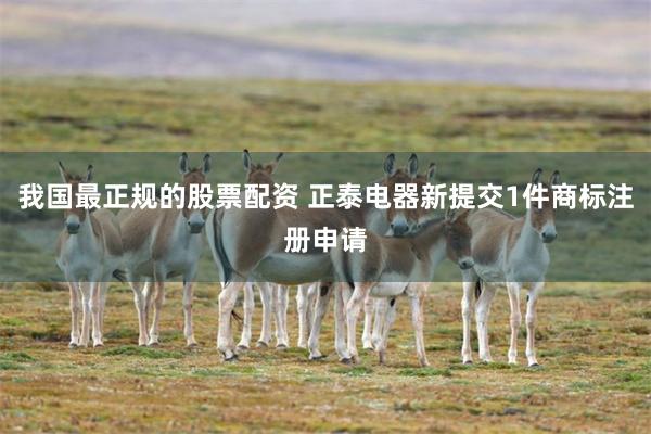我国最正规的股票配资 正泰电器新提交1件商标注册申请