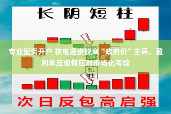 专业配资开户 核电逐步脱离“政府价”主导，盈利承压如何应对市场化考验