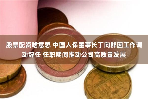 股票配资啥意思 中国人保董事长丁向群因工作调动辞任 任职期间推动公司高质量发展