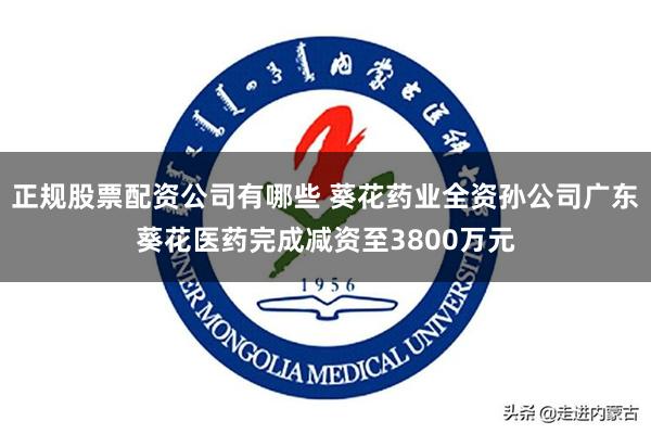 正规股票配资公司有哪些 葵花药业全资孙公司广东葵花医药完成减资至3800万元