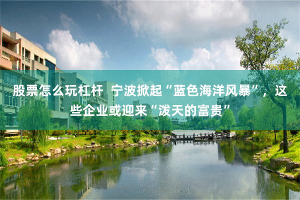 股票怎么玩杠杆  宁波掀起“蓝色海洋风暴”，这些企业或迎来“泼天的富贵”