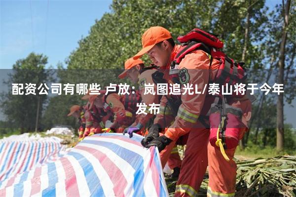 配资公司有哪些 卢放:岚图追光L/泰山将于今年发布