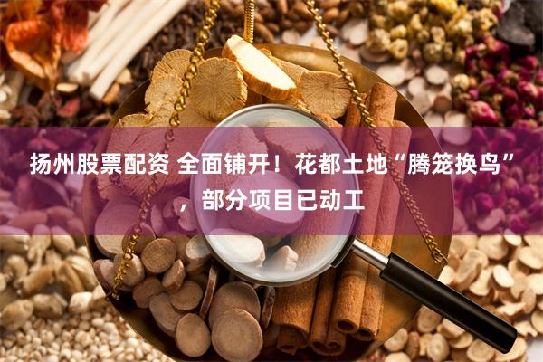 扬州股票配资 全面铺开！花都土地“腾笼换鸟”，部分项目已动工
