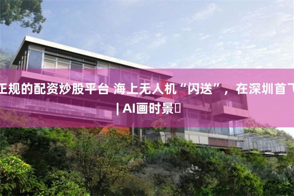 正规的配资炒股平台 海上无人机“闪送”，在深圳首飞 | AI画时景‌