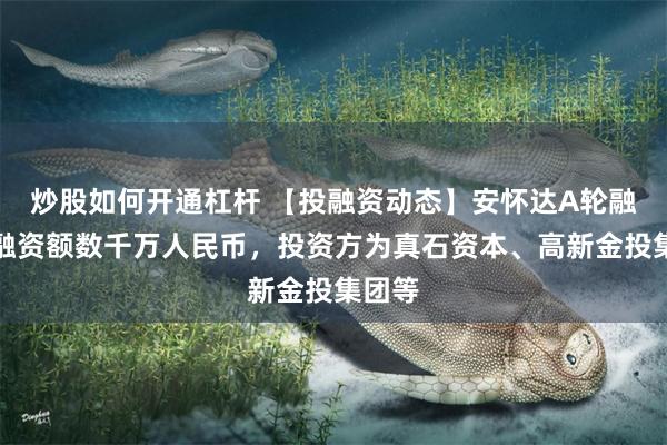 炒股如何开通杠杆 【投融资动态】安怀达A轮融资，融资额数千万人民币，投资方为真石资本、高新金投集团等