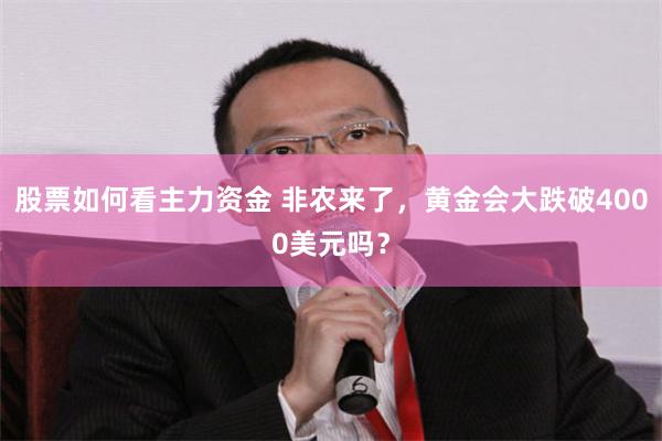股票如何看主力资金 非农来了，黄金会大跌破4000美元吗？