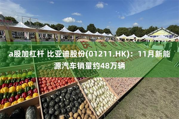 a股加杠杆 比亚迪股份(01211.HK)：11月新能源汽车销量约48万辆