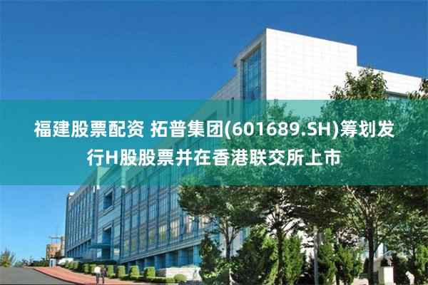 福建股票配资 拓普集团(601689.SH)筹划发行H股股票并在香港联交所上市