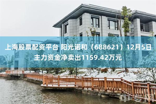 上海股票配资平台 阳光诺和（688621）12月5日主力资金净卖出1159.42万元