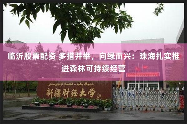 临沂股票配资 多措并举，向绿而兴：珠海扎实推进森林可持续经营